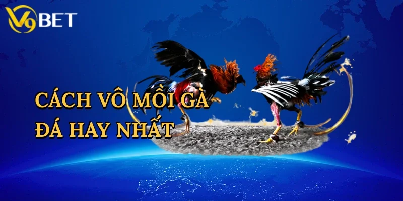 Cách Vô Mồi Gà Đá Hay Nhất